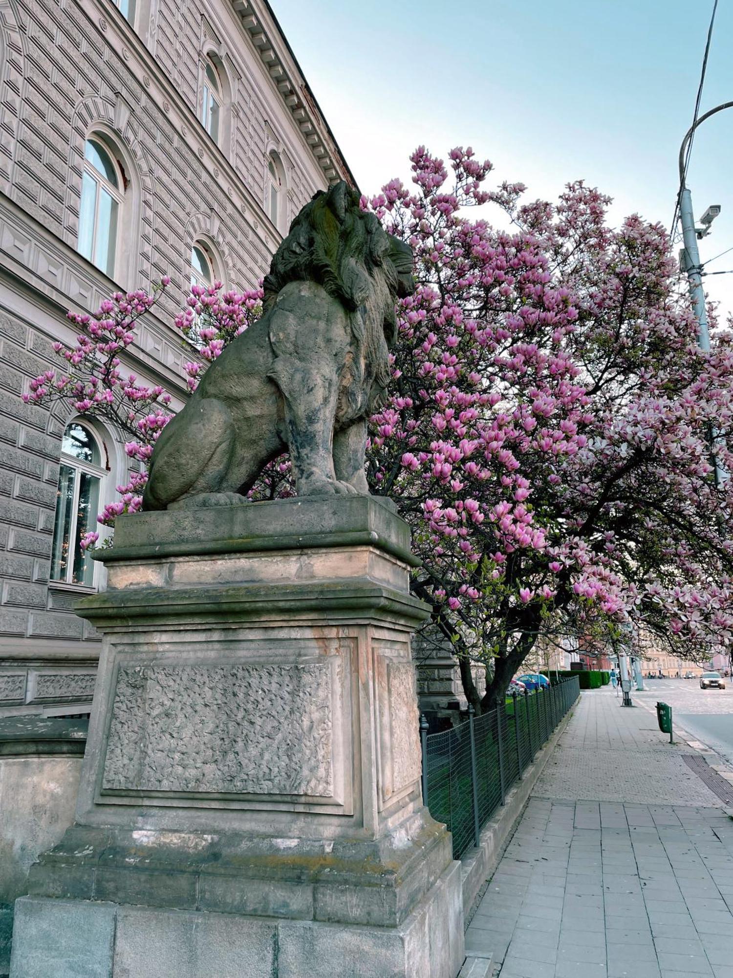 Pension Moravia Olomouc Bagian luar foto