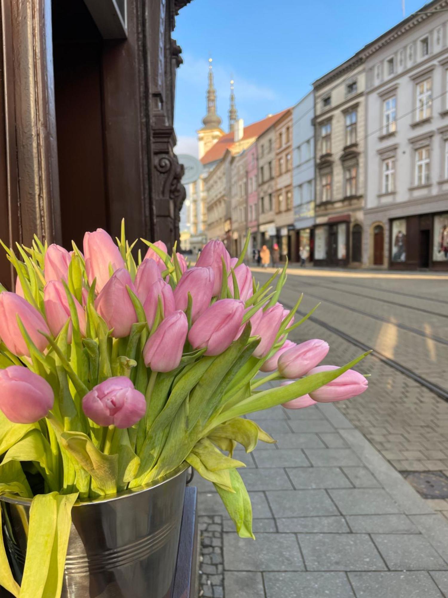 Pension Moravia Olomouc Bagian luar foto
